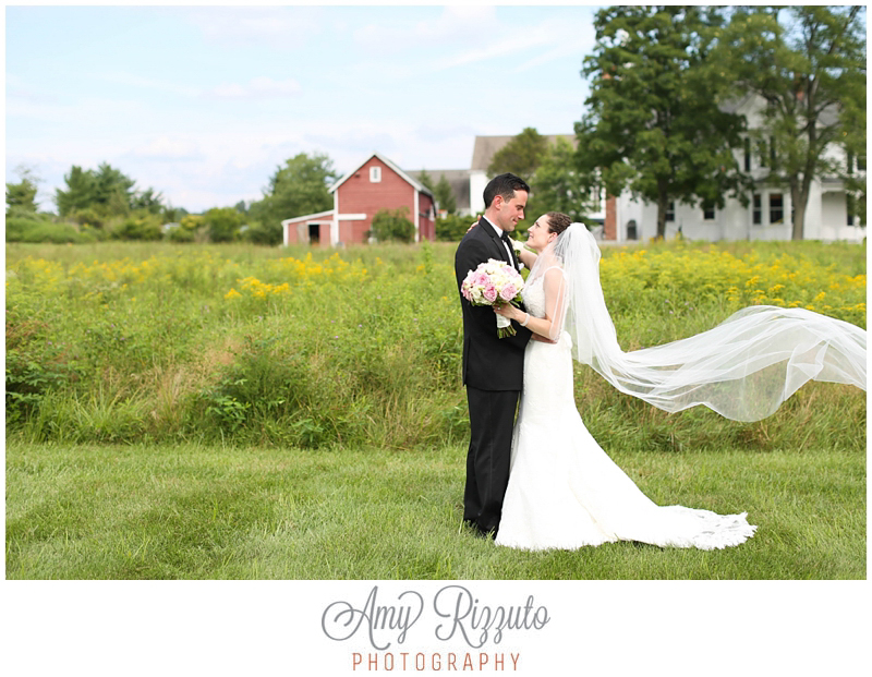 Dolce Basking Ridge Wedding Photos - Amy Rizzuto Photography-1