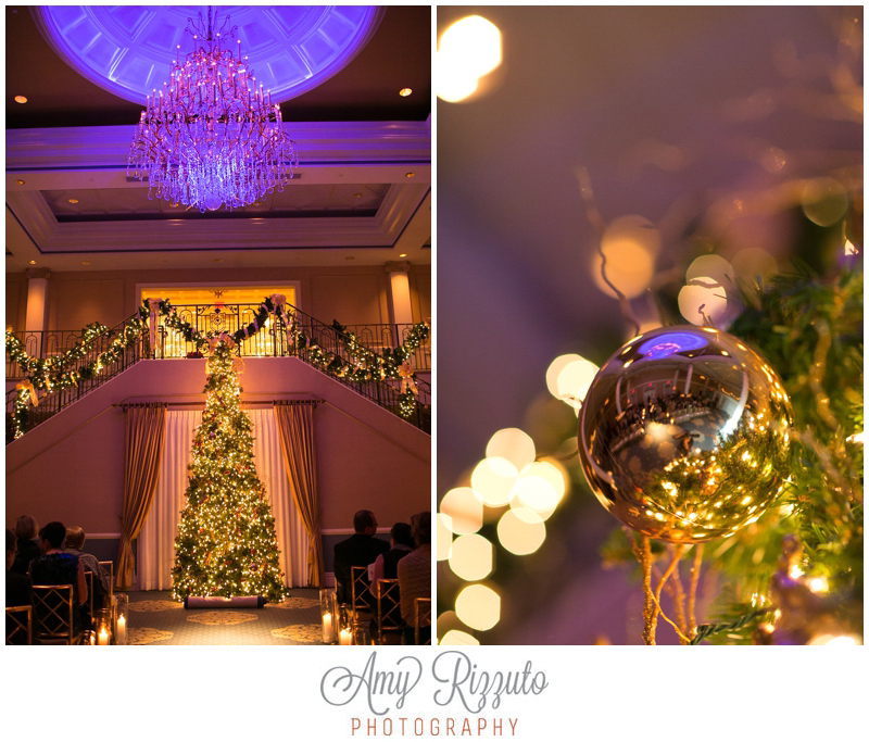 The Palace at Somerset Park Wedding - Amy Rizzuto Photography-23