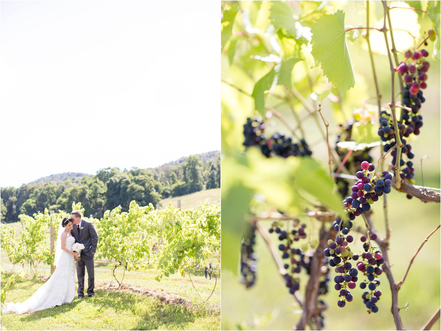 Red Maple Vineyard Wedding Photos - Amy Rizzuto Photography-21