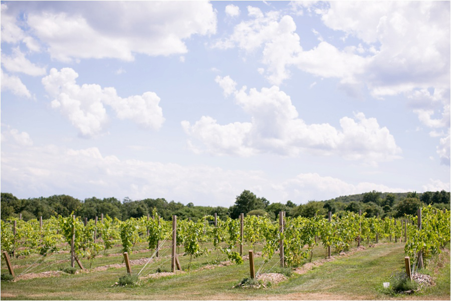 Red Maple Vineyard Wedding Photos - Amy Rizzuto Photography-3