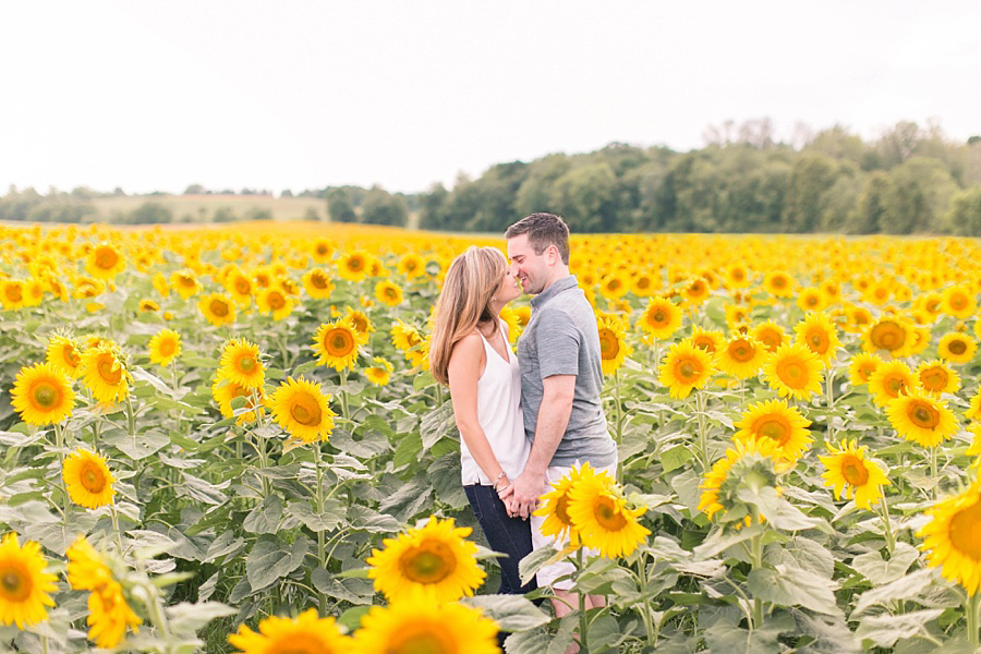 Sunflower Field Engagement Photos - Amy Rizzuto Photography-1