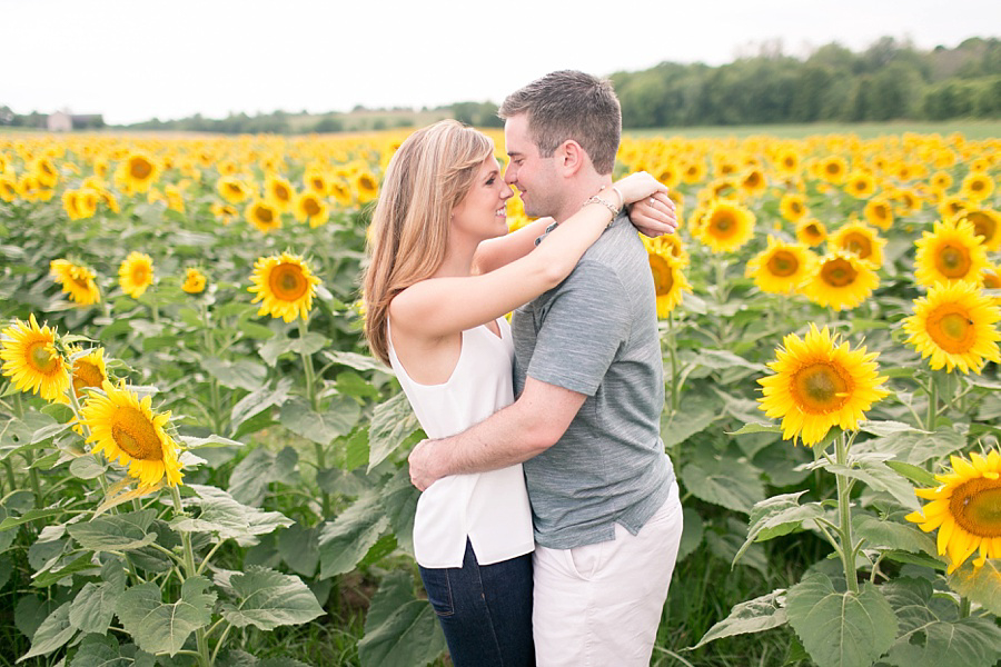 Sunflower Field Engagement Photos - Amy Rizzuto Photography-39