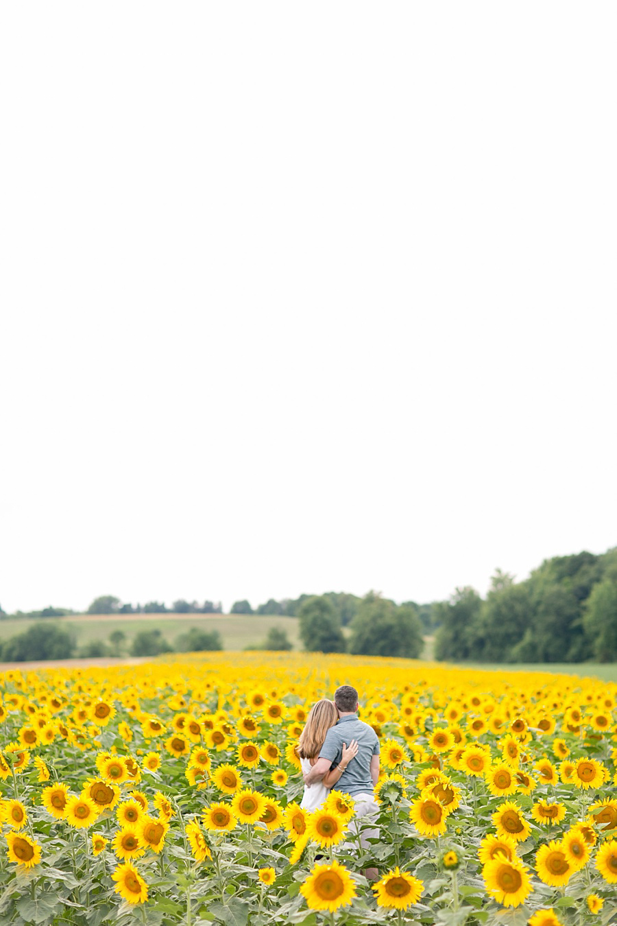 Sunflower Field Engagement Photos - Amy Rizzuto Photography-42