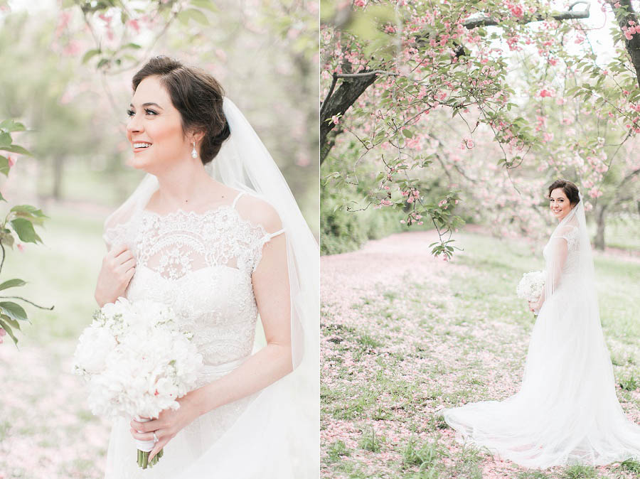 Emily poses for her cherry blossom bridal portraits at the Brooklyn Botanical Garden in NYC, photo by NYC wedding photographer Amy Rizzuto.