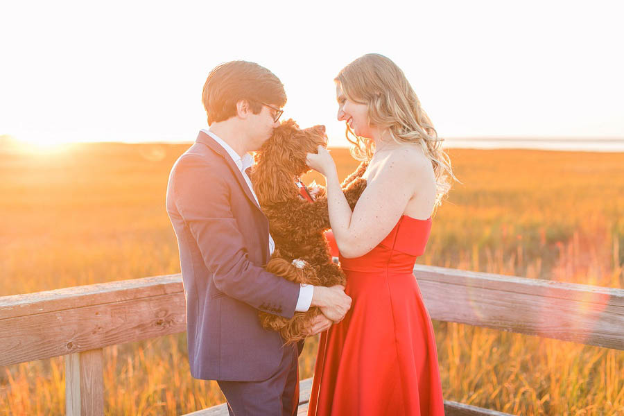 Beach engagement photo by Hamptons wedding photographer Amy Rizzuto Photography. Adorable engagement photo with dogs.