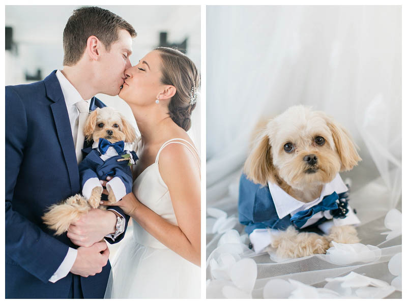 Dog groomsman in wedding photo with dog at The Ryland Inn wedding captured by best NJ wedding photographer Amy Rizzuto Photography