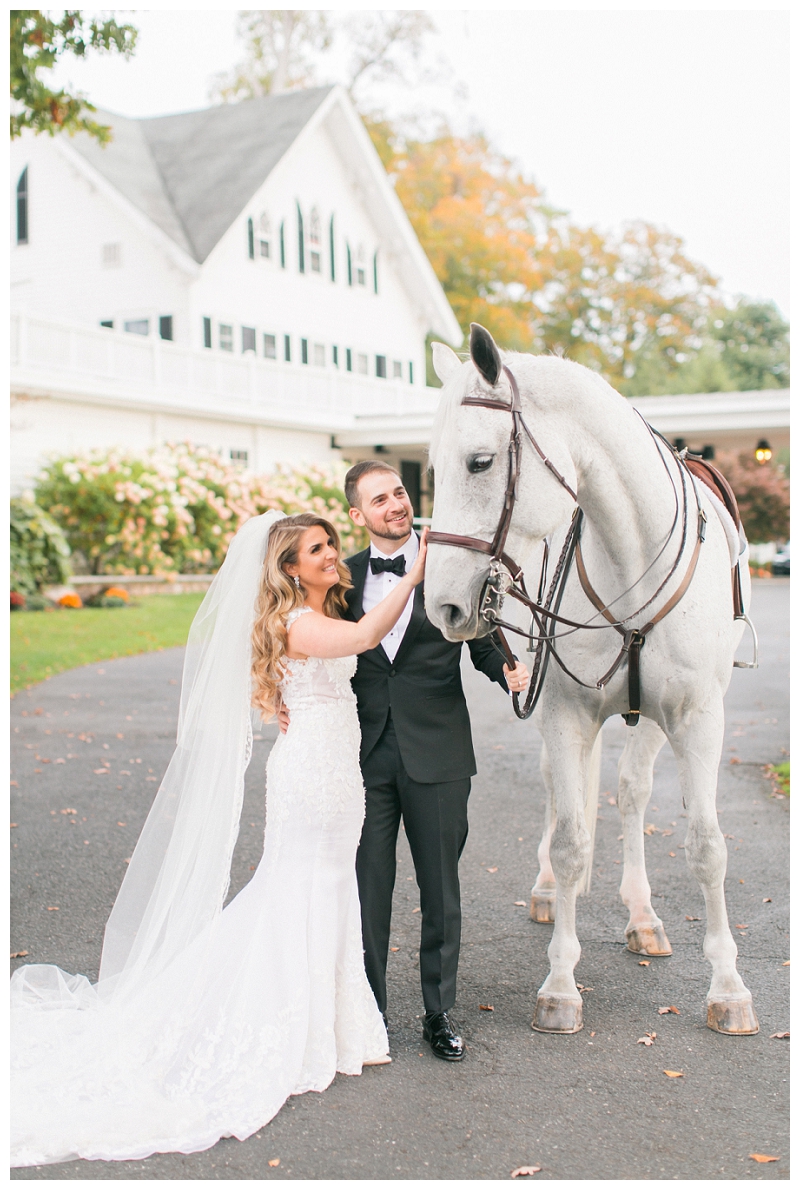 beautiful horse at ryland inn wedding