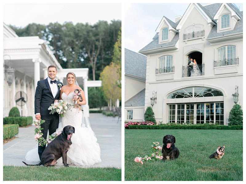 Including your dogs in your wedding at Park Chateau