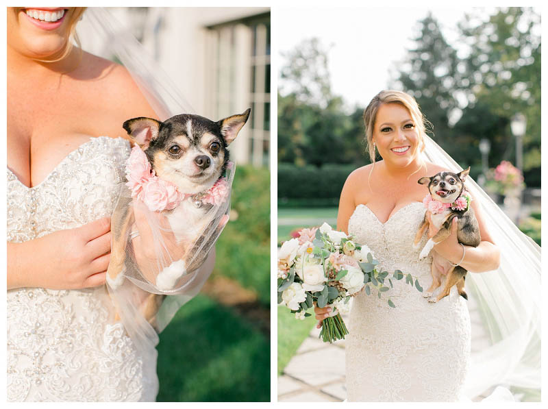Including your dog in your wedding photos