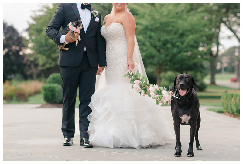 Best photos to take with your dogs on your wedding day