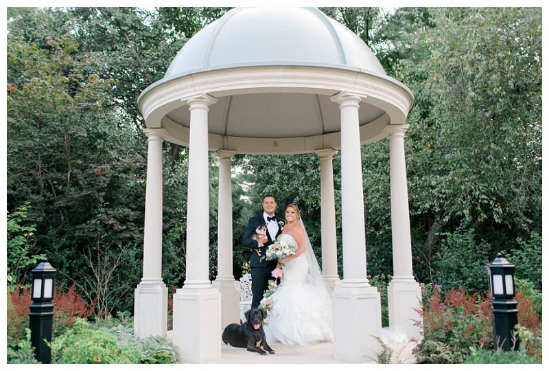 Bride and groom and dogs at Park Chateau wedding captured by best NJ wedding photography Amy Rizzuto