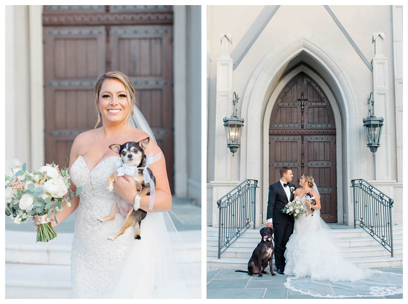 including your dogs in your wedding day photo ideas