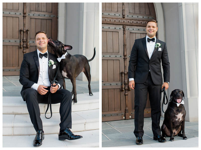 cute dog photo at wedding with groom