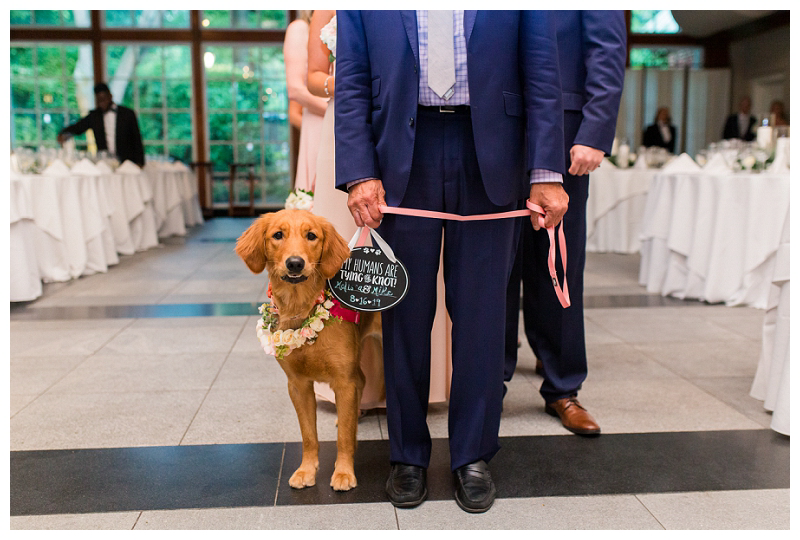 are dogs allowed at central park boathouse wedding