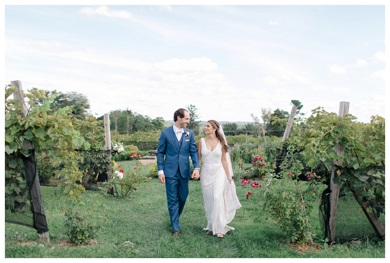 bride and groom in vineyards at Red Maple Vineyard wedding