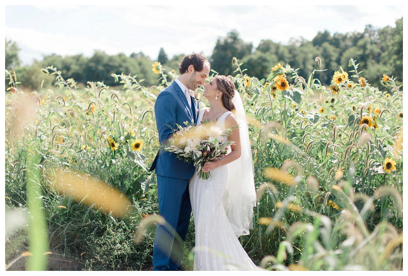 bride and groom in sunflower field at Red Maple Vineyard wedding, sunflower wedding photo