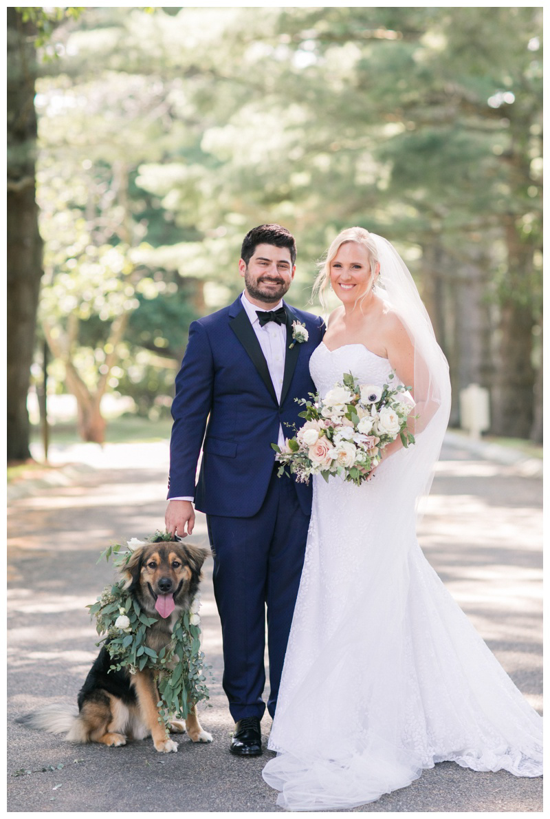 bride and groom with dog at Ashford Estate wedding