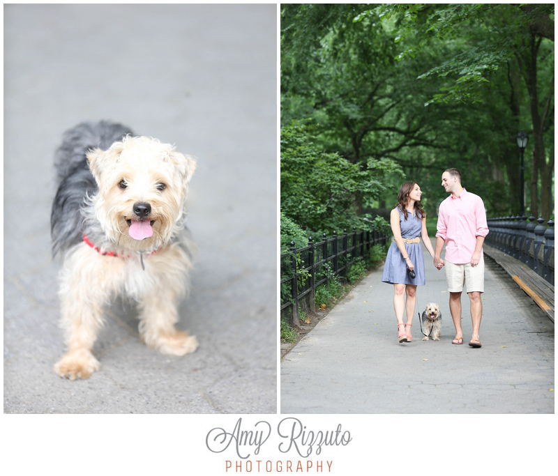 Central Park Engagement Photos - Amy Rizzuto Photography-5-3